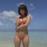 平嶋夏海グラビア動画 よく晴れたビーチを独り占めして魅せるぴちぴちボディ